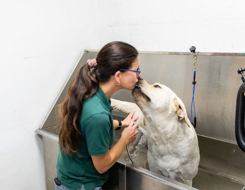 Template-Grooming-Freedogm-2022