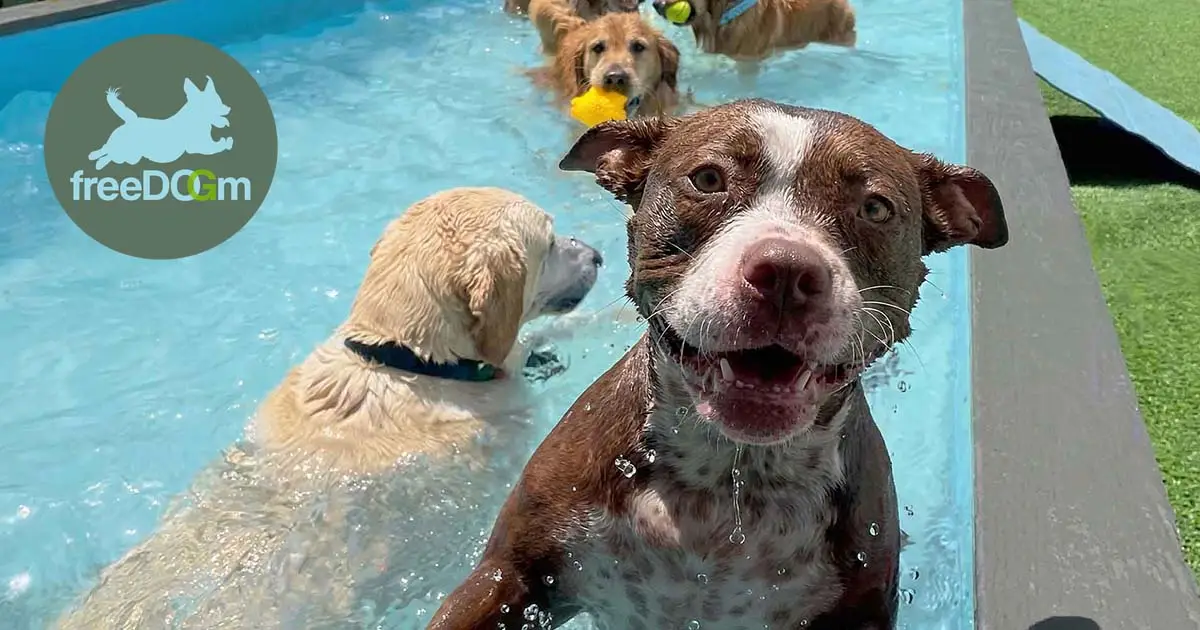freeDOGm
